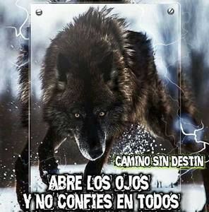 Meet your Posher, Erwin